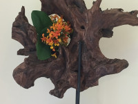 7. Lucrecia Talma, Osorno. Escuela Ohara. Sur milenario, tronco transversal del sur de Chile, hojas calas, flores astromelias (1)